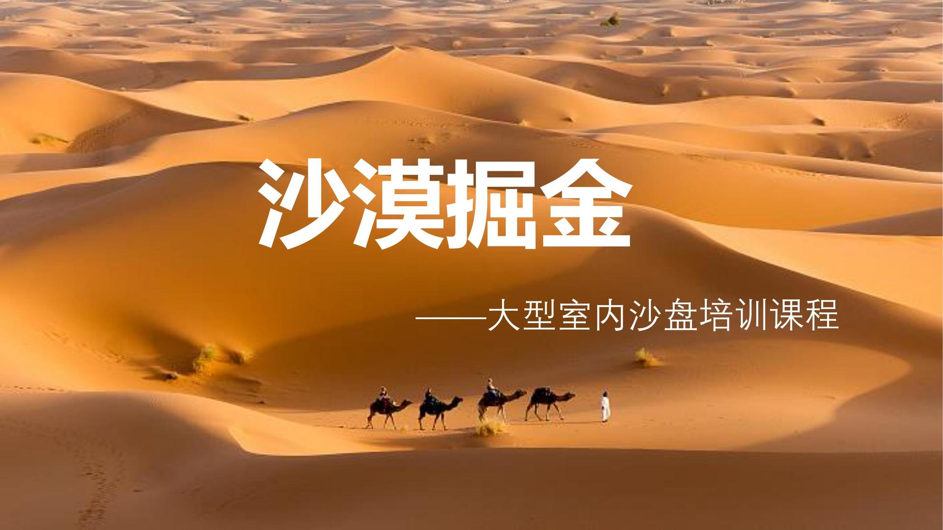 猛龙传媒导演制片